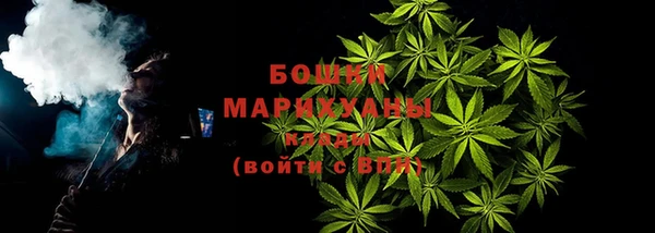 мдпв Богородск