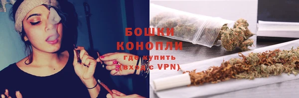 мдпв Богородск