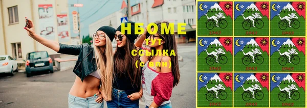 мдпв Богородск