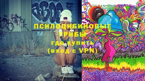 прущие грибы Белоозёрский