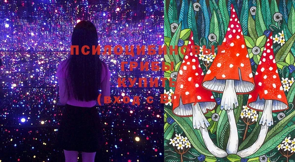 прущие грибы Белоозёрский