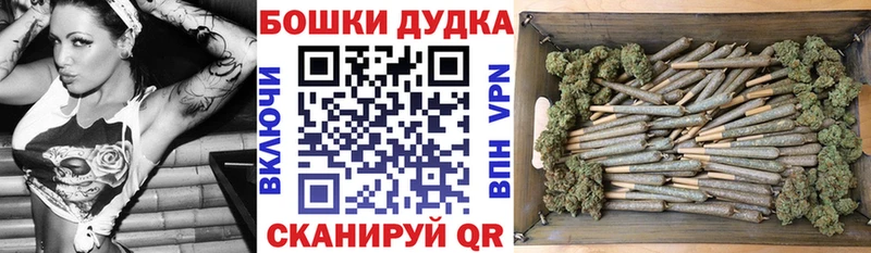 кракен рабочий сайт Новороссийск Конопля план